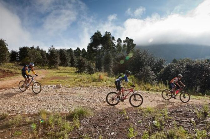 Paseo en bicicleta