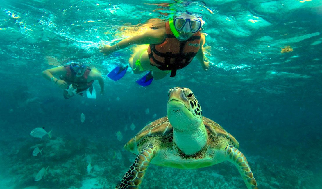 playa tortugas cancun