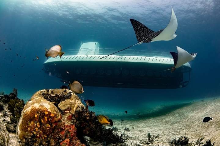 Expedición en submarino Atlantis - mejores cosas que hacer en cozumel